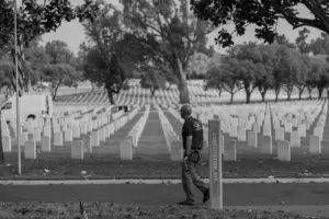 memorial day vs veterans day